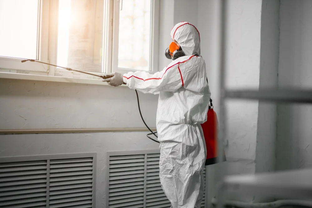 Professional mold remediation services in Georgetown, TX